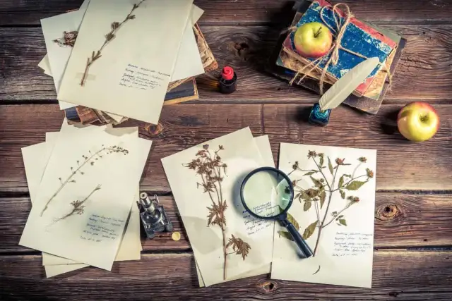 Jakie zioła do zielnika szkolnego - najlepsze rośliny do zbioru