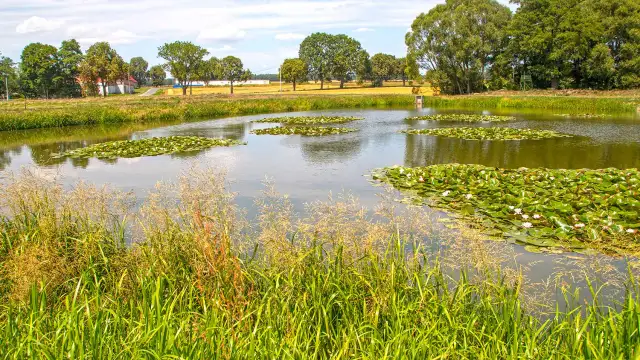 Najlepsze atrakcje w Sierakowicach, które musisz zobaczyć na weekend