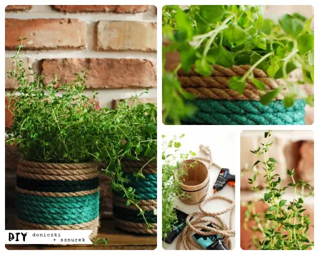 Jak zrobić doniczki do akwarium - proste i bezpieczne metody DIY