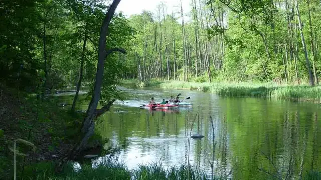 Spływ kajakowy Ruciane-Nida: Krutynia jak zaplanować idealnie?