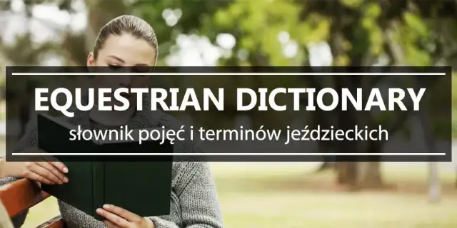 Synonimy jeździectwa – poznaj alternatywne wyrażenia i ich znaczenie