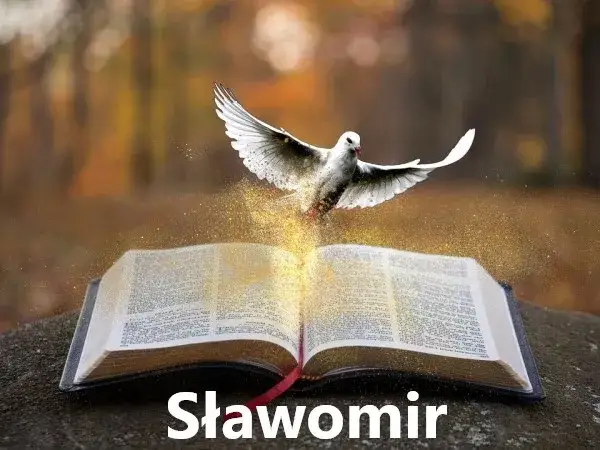 Św Sławomir patron czego – odkryj, kogo wspiera i w jakich dziedzinach