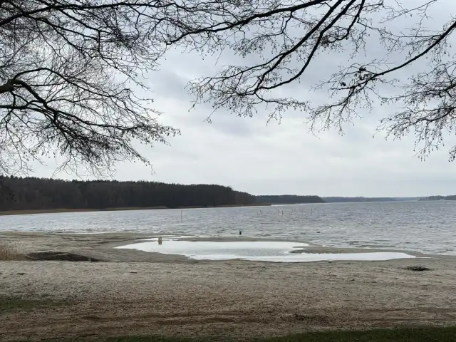 Plaża nad jeziorem, z widokiem na las. W oddali widać słupy, być może pozostałości po dawnej infrastrukturze pola namiotowego Anastazewo.