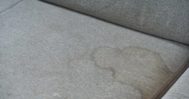 Plama na szarej kanapie. Dowiedz się, jak wyczyścić kanapę domowym sposobem, aby przywrócić jej świeżość.