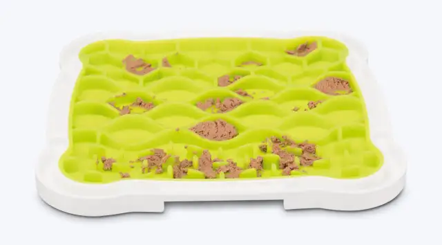 Mata do lizania dla psa: Czym smarować? Bezpieczne i zdrowe pomysły