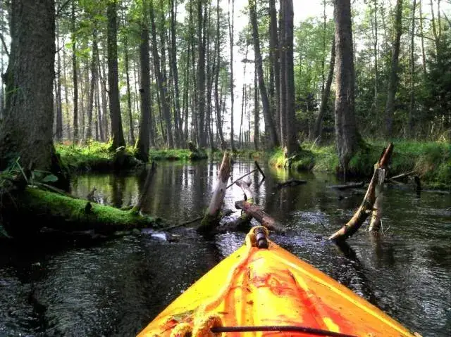 Spływ kajakowy Wełną w Rogoźnie: Trasy, ceny, porady eksperta!