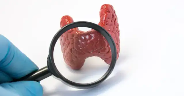 Jakie badanie z krwi na tarczycę? Kluczowe testy dla zdrowia tarczycy