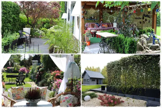 Jak osłonić taras roślinami? Stwórz zieloną oazę prywatności