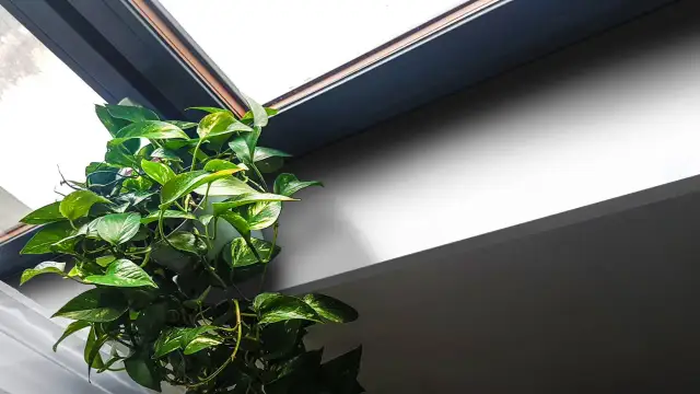 Parapety z konglomeratu: Kwarcowy czy marmurowy? Wybierz mądrze!