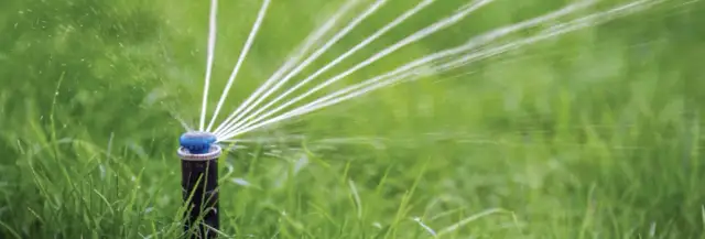 Jak zrobić domowy zraszacz, który zaoszczędzi czas i wodę