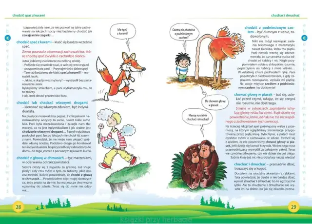 Ośle uszy frazeologizm – co naprawdę oznacza i jak go używać?