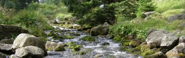 Kuźnice co warto zobaczyć: najpiękniejsze atrakcje i miejsca