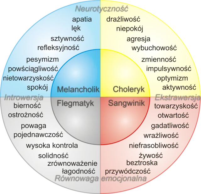 Jakie są 4 typy osobowości i jak wpływają na nasze życie?