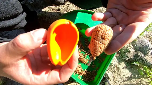 Jak zakładać pellet na haczyk - uniknij najczęstszych błędów w wędkowaniu