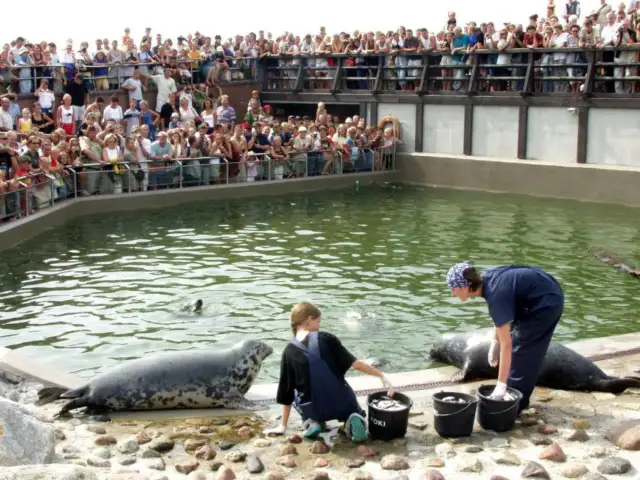 Oceanarium Hel - Fascynujące atrakcje i godziny otwarcia fokarium
