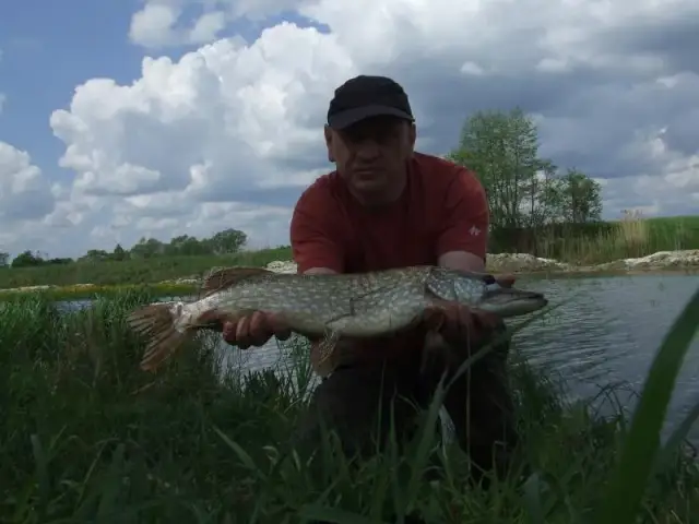 Łowisko szczupakowo: najlepsze miejsce na pstrągi i noclegi w Giżycku
