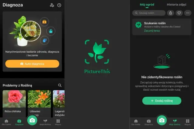 Co to za roślina? TOP aplikacje do rozpoznawania (darmowe i płatne)