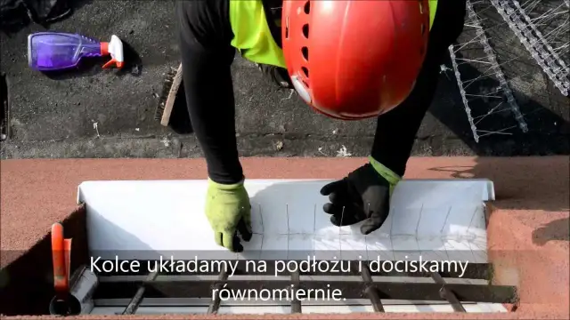 Jak zamontować kolce na ptaki, aby skutecznie zniechęcić ptaki