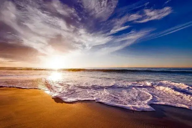 Dlaczego w muszlach słychać szum morza? Odkryj tajemnice dźwięku