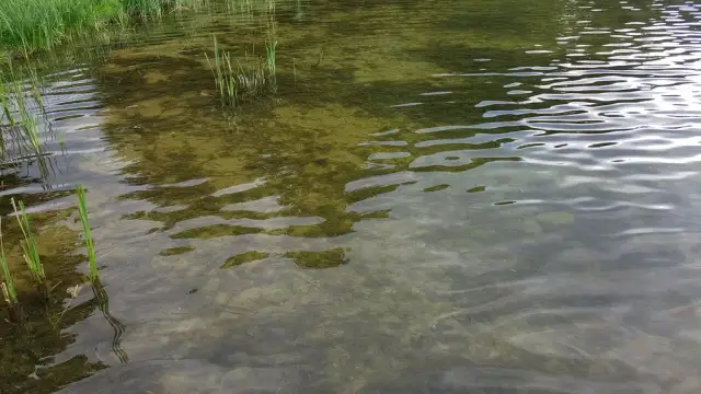 Jezioro Korytnickie – odkryj atrakcje i możliwości rekreacji