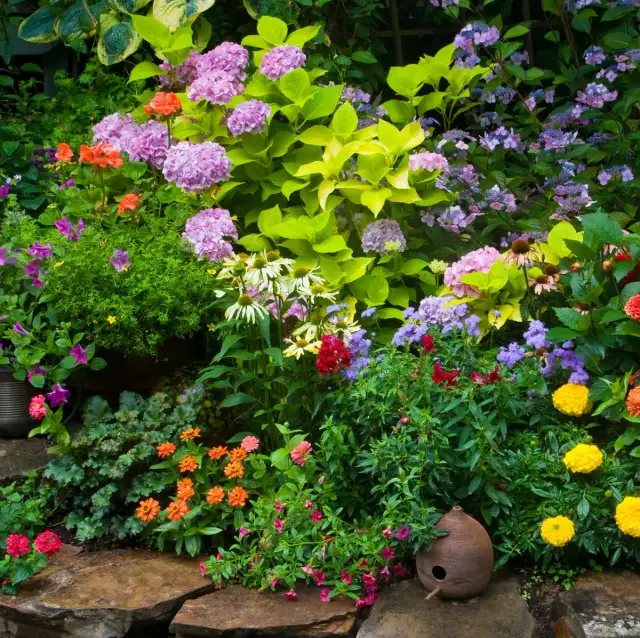 Las mejores flores que plantar en septiembre para un jardín hermoso