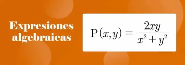 Qué es término en matemáticas y su importancia en las expresiones