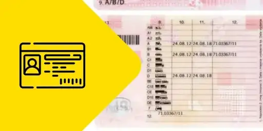 Prawo jazdy na busa: Ile miejsc możesz przewieźć legalnie?