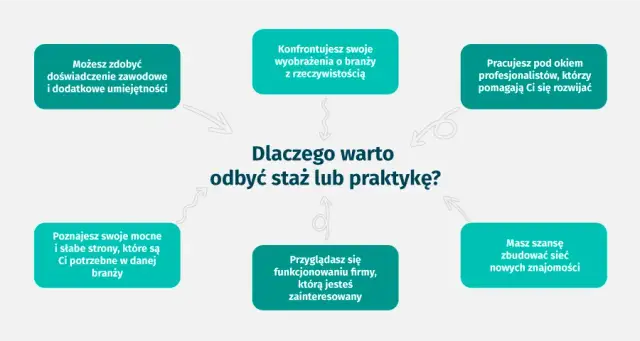 Praktyki a staż pracy: Kiedy się liczą, a kiedy nie?