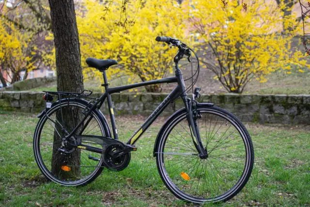 Czarny rower trekkingowy, idealny wybór jaki rower trekkingowy do 3000 zł, stoi przy drzewie na tle kwitnących żółtych krzewów.