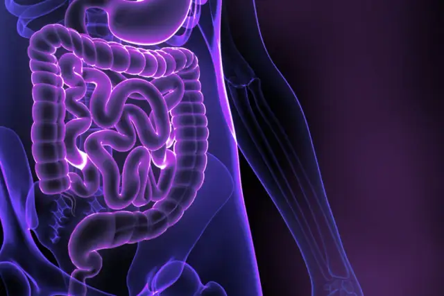 Czy badanie mikroflory jelitowej jest warte zachodu? Oto odpowiedzi