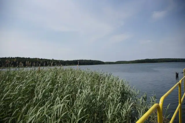 Jezioro Wilkowskie: piękne miejsce na relaks i udane wędkowanie