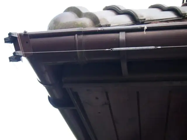 Jak kuna wchodzi na dach i jak jej zapobiec w prosty sposób