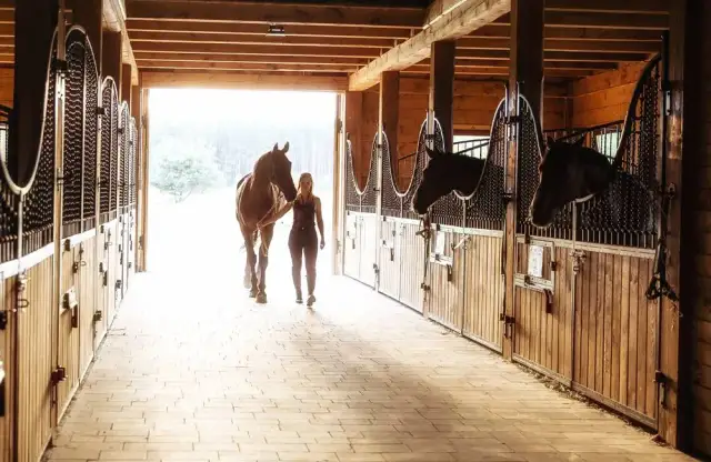 Centrum jeździeckie Stadion Kielce - najlepsze miejsce na jazdę konną