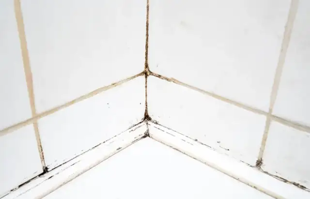 Badezimmer Fugen reinigen: Effektive Methoden für strahlend saubere Fugen