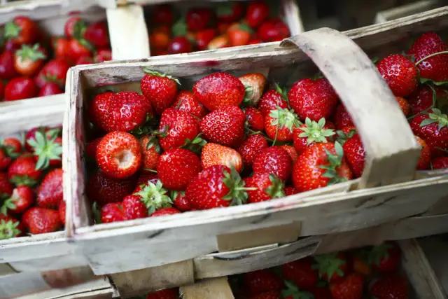 Ile można zarobić na zbiorach w Polsce? Fakty, które musisz znać