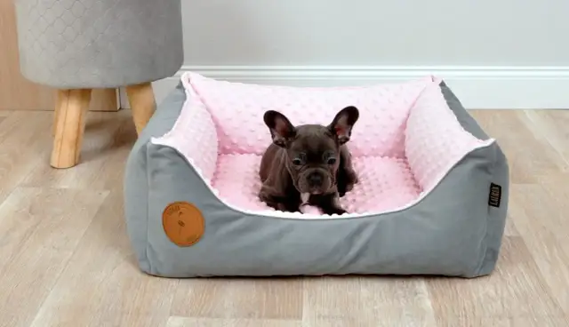 Jak uszyć legowisko dla psa, by zapewnić mu komfort i wygodę