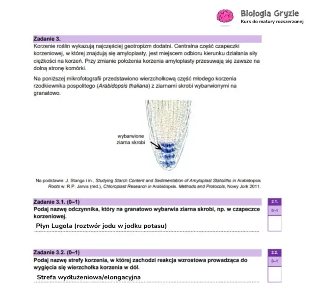 Ile punktów na maturze z biologii? Odkryj, jak je zdobyć!