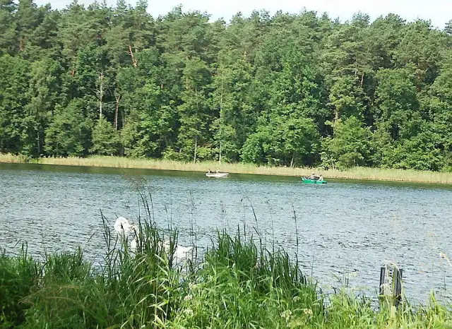 Jezioro Dworackie: raj dla wędkarzy i miłośników przyrody