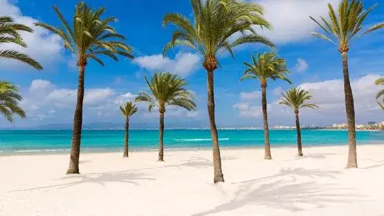 El Arenal atrakcje, które zaskoczą każdego turystę w Mallorca