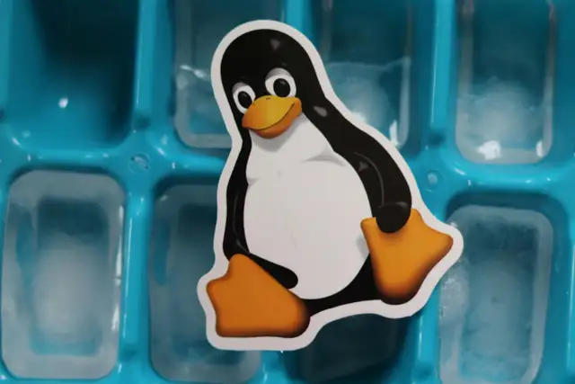 Tux, maskotka jądra Linux, siedzi na tacce z kostkami lodu.