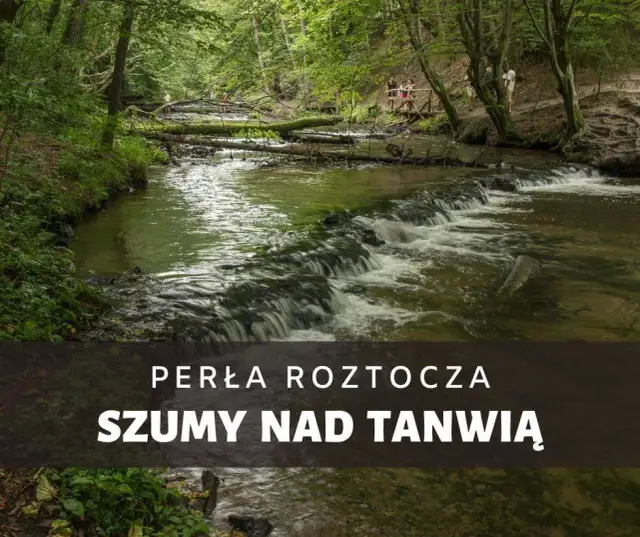 Rezerwat Szum: Kaskady Tanwi, szlaki i planowanie wycieczki na Roztoczu