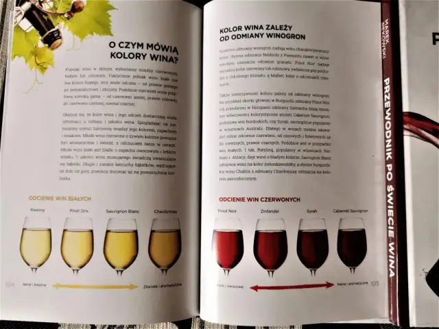 Kolor jak wino: odkryj tajemnice odcieni i ich znaczenie