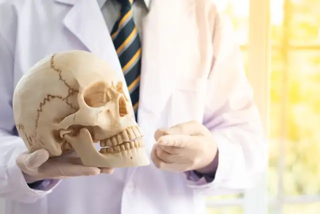 Jak uczyć się anatomii? Opanuj ją mądrze, nie ciężej!