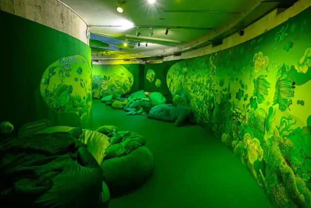 Muzeum Współczesne Wrocław: Sztuka w bunkrze? Praktyczny przewodnik