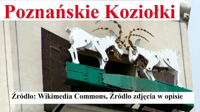 Poznańskie Koziołki: Legenda, Historia i Codzienny Spektakl