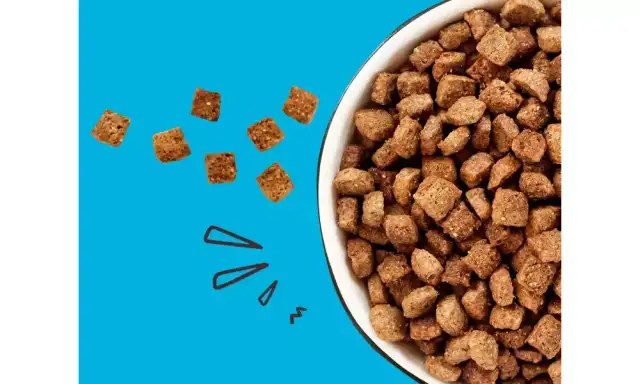 Co można dodać do suchej karmy dla psa, aby poprawić smak i zdrowie?