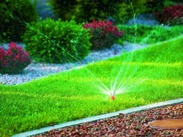 Nawadnianie kropelkowe vs zraszacze: Który system wybrać do ogrodu?