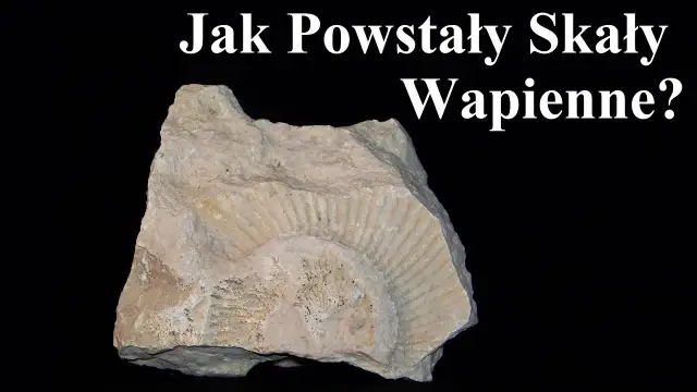 Jak powstały skały wapienne? Odkryj tajemnice ich formowania