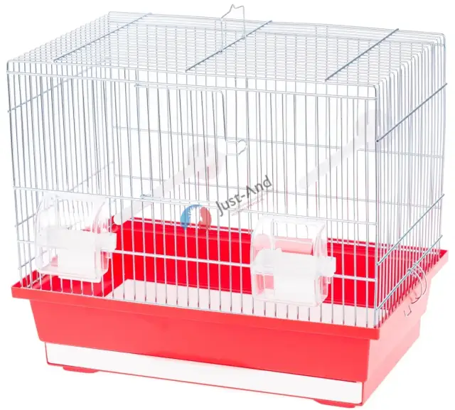 Ile kosztuje klatka dla kanarka? Ceny, które mogą Cię zaskoczyć