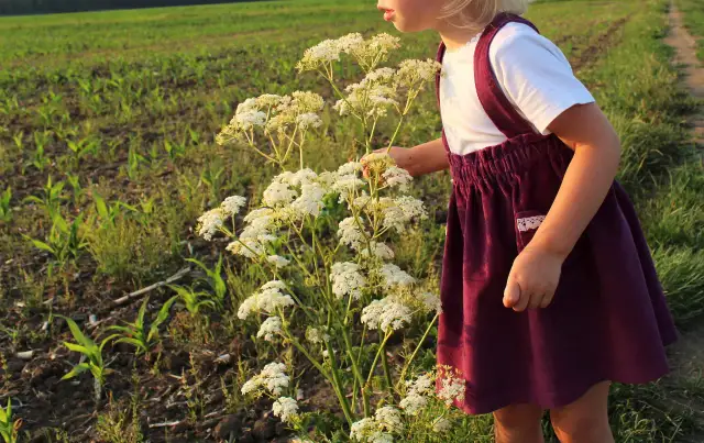 Jak uszyć spódniczkę na szelkach - proste kroki, które zaskoczą
